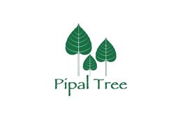 PipalTree Studio